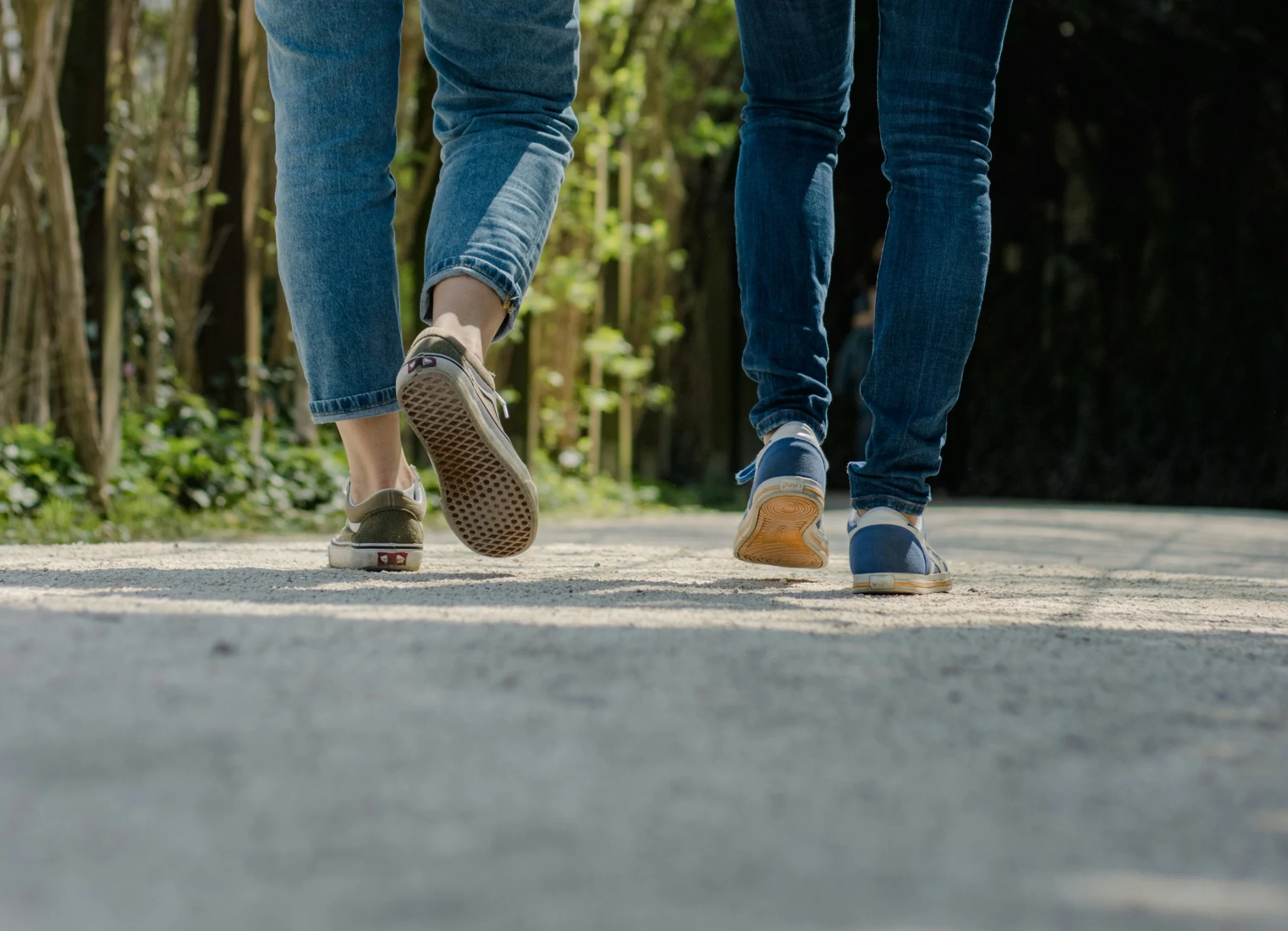 Two people walking side by side along a misty forest path